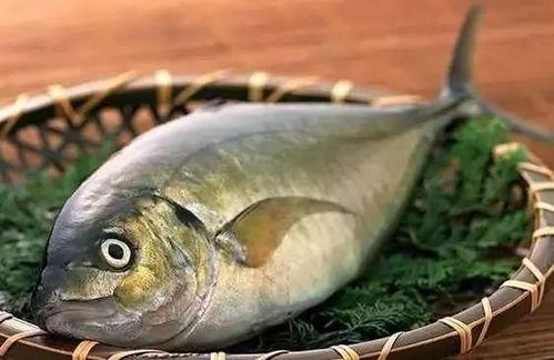 娱乐吃瓜鱼,揭秘娱乐圈那些不为人知的幕后故事  第2张 娱乐吃瓜鱼,揭秘娱乐圈那些不为人知的幕后故事  第2张