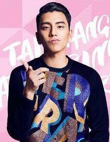 娱乐圈爆料记者之王小说,揭秘“记者之王”的传奇故事  第2张 娱乐圈爆料记者之王小说,揭秘“记者之王”的传奇故事  第2张