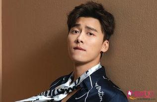 爆料视频李易峰最新,爆料视频揭示神秘事件  第3张