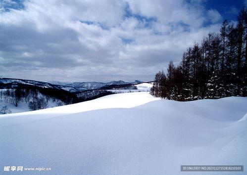 最新爆料六图雪地图片下载,冬日雪地美景,带你领略纯净自然之美”